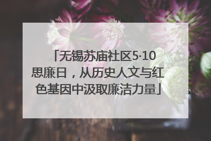 无锡苏庙社区5·10思廉日，从历史人文与红色基因中汲取廉洁力量