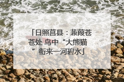 日照莒县：蒹葭苍苍处 鸟中“大熊猫”衔来一河碧水
