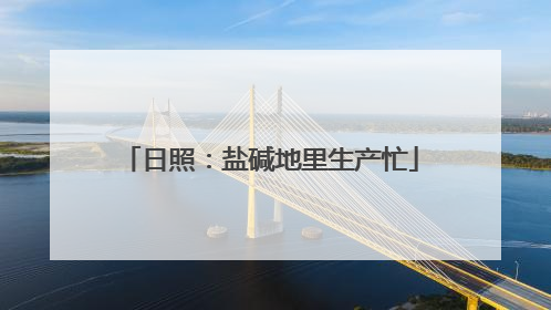 日照：盐碱地里生产忙