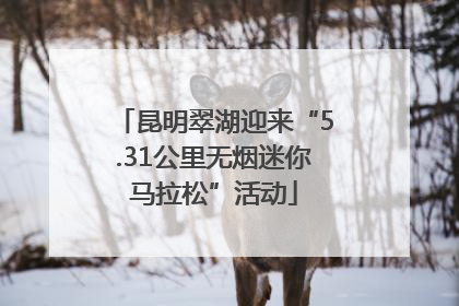 昆明翠湖迎来“5.31公里无烟迷你马拉松”活动