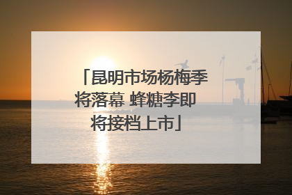 昆明市场杨梅季将落幕 蜂糖李即将接档上市