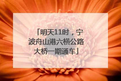 明天11时，宁波舟山港六横公路大桥一期通车