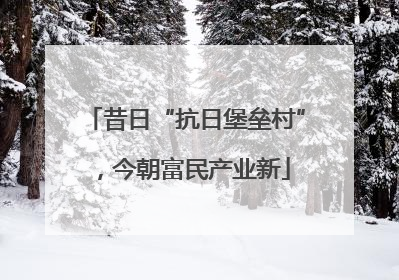 昔日“抗日堡垒村”，今朝富民产业新