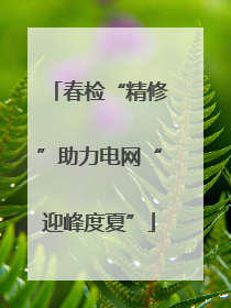 春检“精修”助力电网“迎峰度夏”