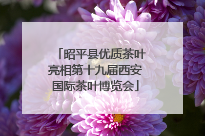 昭平县优质茶叶亮相第十九届西安国际茶叶博览会
