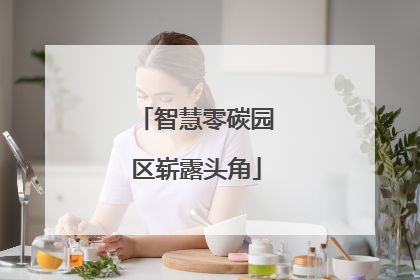 智慧零碳园区崭露头角