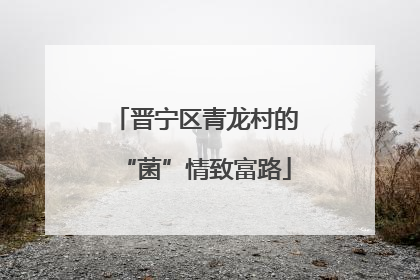 晋宁区青龙村的“菌”情致富路