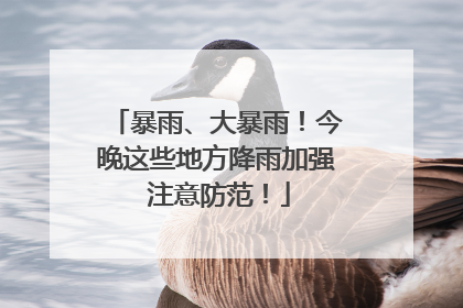 暴雨、大暴雨！今晚这些地方降雨加强 注意防范！