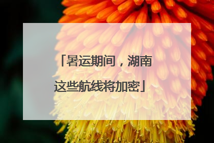 暑运期间，湖南这些航线将加密