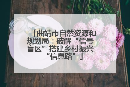 曲靖市自然资源和规划局：破解“信号盲区”搭建乡村振兴“信息路”