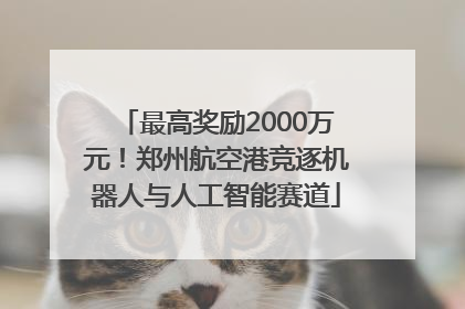 最高奖励2000万元！郑州航空港竞逐机器人与人工智能赛道