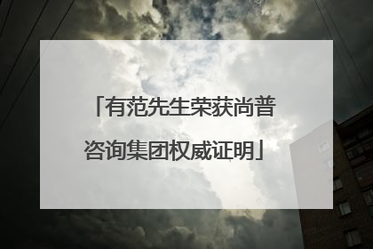 有范先生荣获尚普咨询集团权威证明