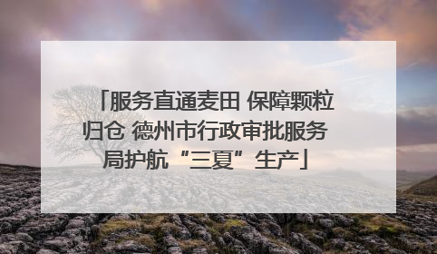 服务直通麦田 保障颗粒归仓 德州市行政审批服务局护航“三夏”生产