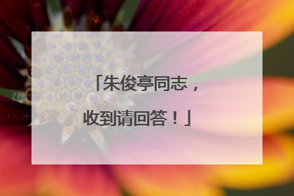 朱俊亭同志，收到请回答！