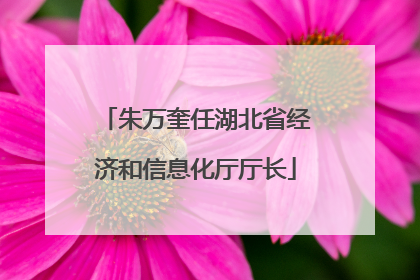 朱万奎任湖北省经济和信息化厅厅长