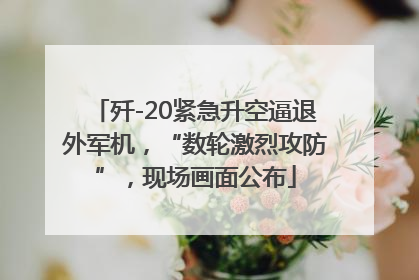 歼-20紧急升空逼退外军机，“数轮激烈攻防”，现场画面公布