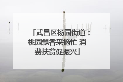 武昌区杨园街道：桃园飘香采摘忙 消费扶贫促振兴