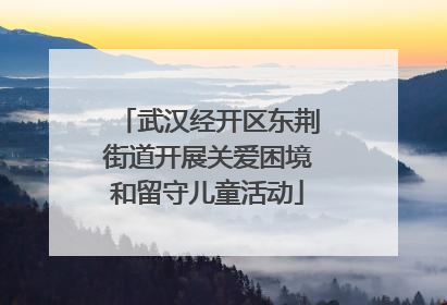 武汉经开区东荆街道开展关爱困境和留守儿童活动