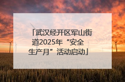 武汉经开区军山街道2025年“安全生产月”活动启动