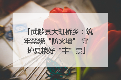 武陟县大虹桥乡：筑牢禁烧“防火墙” 守护夏粮好“丰”景
