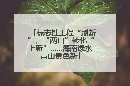 标志性工程“刷新”、“两山”转化“上新”……海南绿水青山景色新