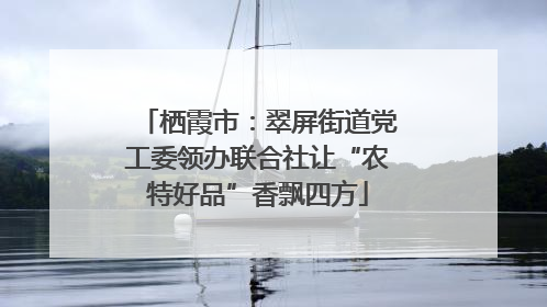 栖霞市：翠屏街道党工委领办联合社让“农特好品”香飘四方