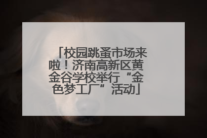 校园跳蚤市场来啦！济南高新区黄金谷学校举行“金色梦工厂”活动
