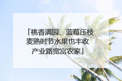 桃香满园、蓝莓压枝 麦熟时节水果也丰收 产业路宽富农家