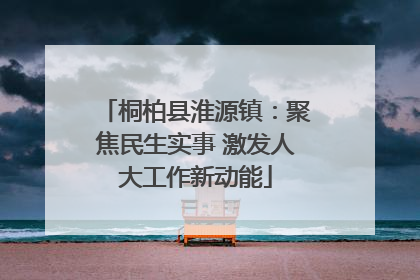 桐柏县淮源镇：聚焦民生实事 激发人大工作新动能