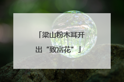 梁山粉木耳开出“致富花”
