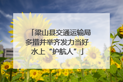 梁山县交通运输局多措并举齐发力当好水上“护航人”