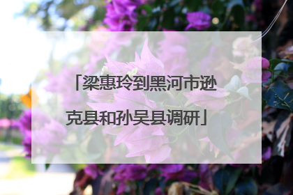 梁惠玲到黑河市逊克县和孙吴县调研