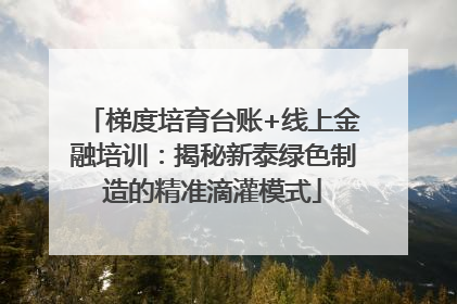 梯度培育台账+线上金融培训：揭秘新泰绿色制造的精准滴灌模式