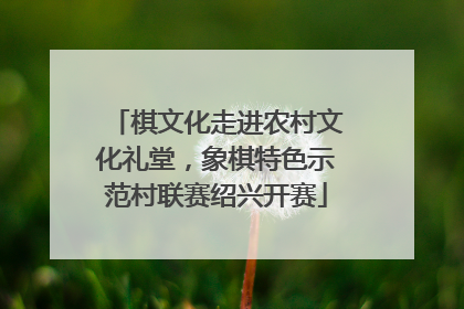 棋文化走进农村文化礼堂，象棋特色示范村联赛绍兴开赛