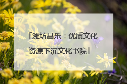 潍坊昌乐：优质文化资源下沉文化书院