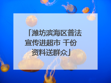 潍坊滨海区普法宣传进超市 千份资料送群众