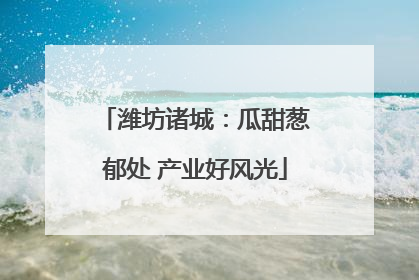 潍坊诸城：瓜甜葱郁处 产业好风光