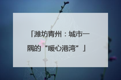 潍坊青州：城市一隅的“暖心港湾”
