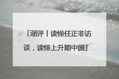 潮评丨读懂任正非访谈，读懂上升期中国