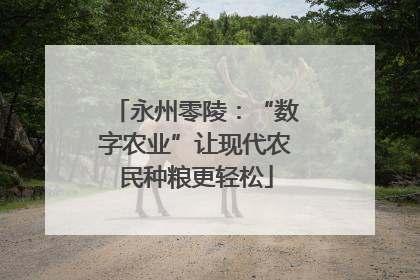 永州零陵：“数字农业”让现代农民种粮更轻松