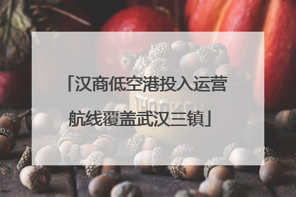 汉商低空港投入运营 航线覆盖武汉三镇