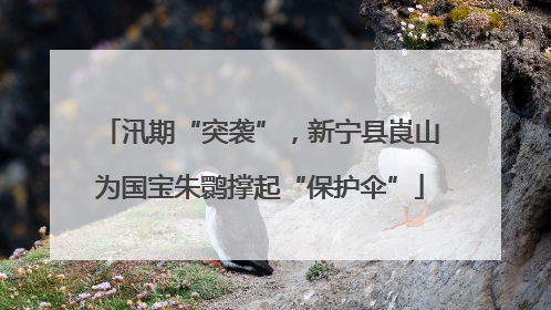 汛期“突袭”，新宁县崀山为国宝朱鹮撑起“保护伞”