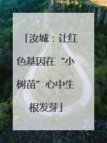 汝城：让红色基因在“小树苗”心中生根发芽