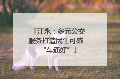 江永：多元公交服务打造民生可感“车通好”