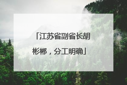 江苏省副省长胡彬郴，分工明确