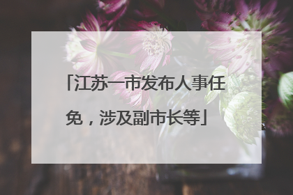 江苏一市发布人事任免，涉及副市长等