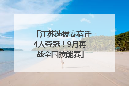 江苏选拔赛宿迁4人夺冠！9月再战全国技能赛