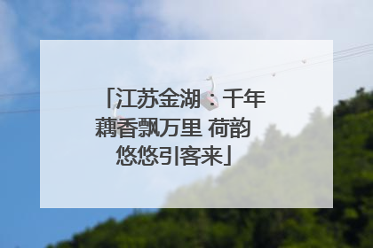 江苏金湖：千年藕香飘万里 荷韵悠悠引客来