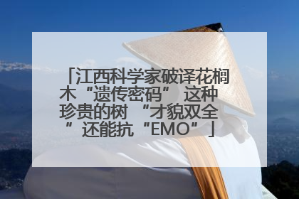 江西科学家破译花榈木“遗传密码” 这种珍贵的树 “才貌双全”还能抗“EMO”