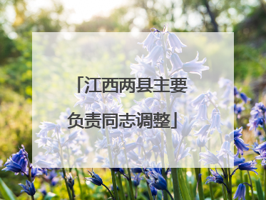 江西两县主要负责同志调整